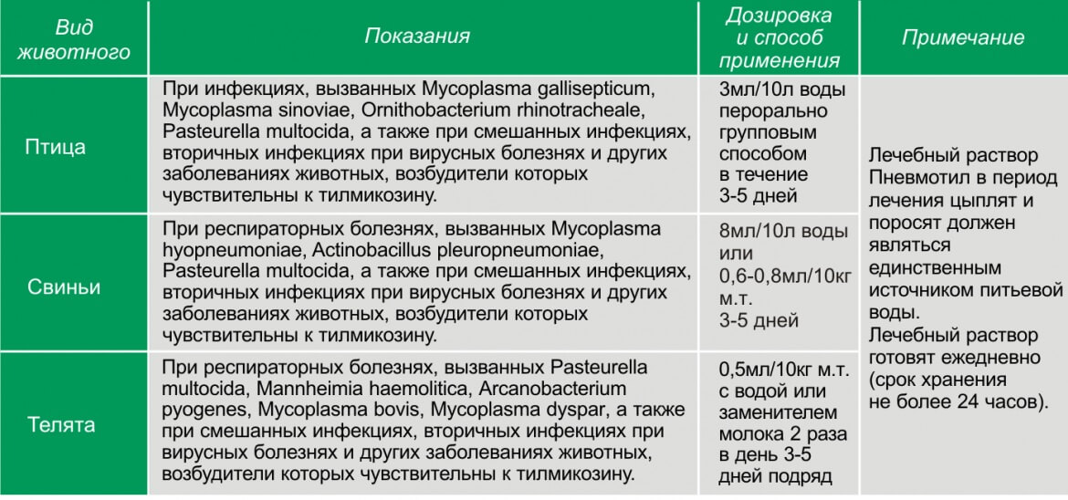 Ивермек для собак: инструкция по применению, лекарственные формы и эффективность