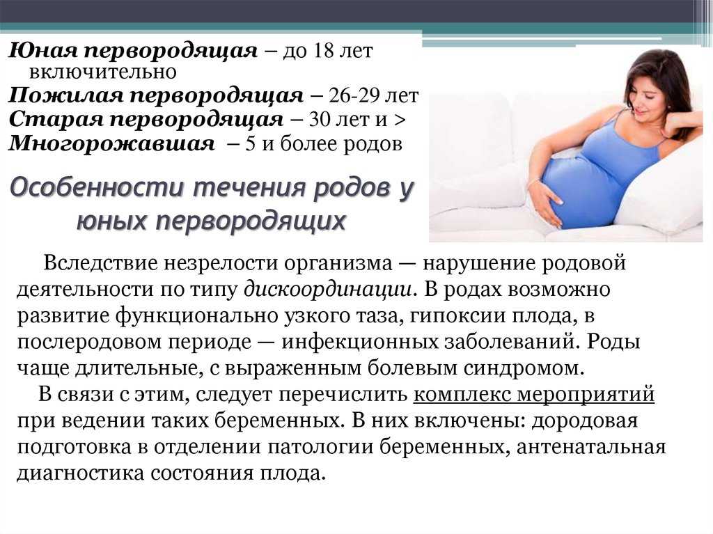 Роды у шиншилл в домашних условиях. что и как делать.