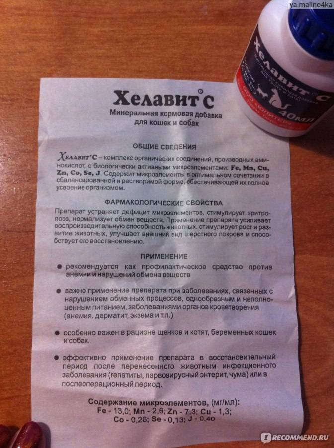 Хелавит для кошек: кормовая добавка с богатым составом - все о породах кошек с описанием, фотографиями и названиями.все о породах кошек с описанием, фотографиями и названиями.