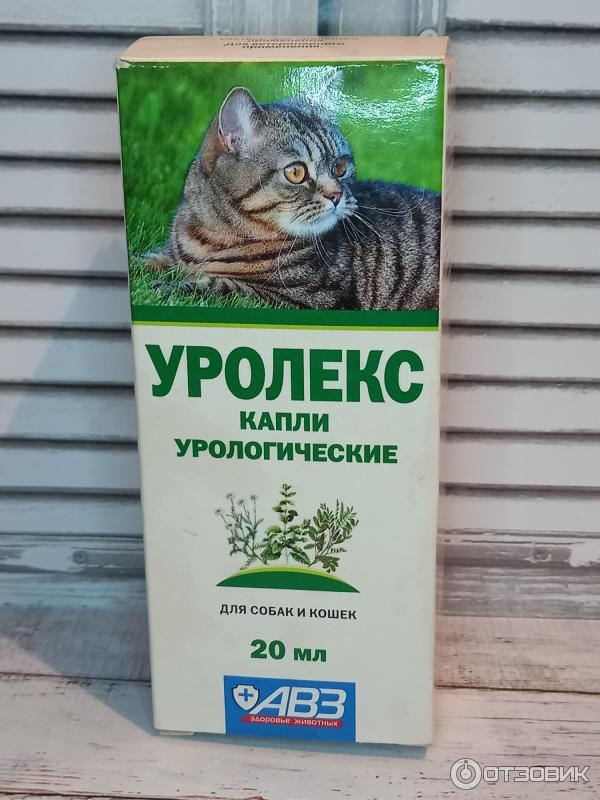 Уролекс для собак – от цистита помогут травы