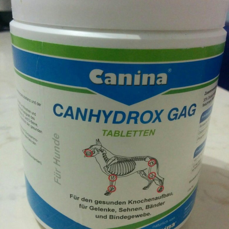 Витамины canina для собак: 5 популярных видов, отзывы