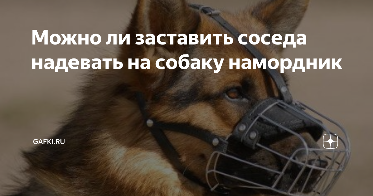 Можно ли заставить соседа надевать на собаку намордник
