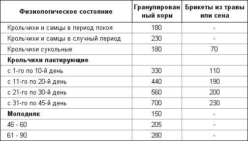 Докорм и развитие крольчат | кролик дома