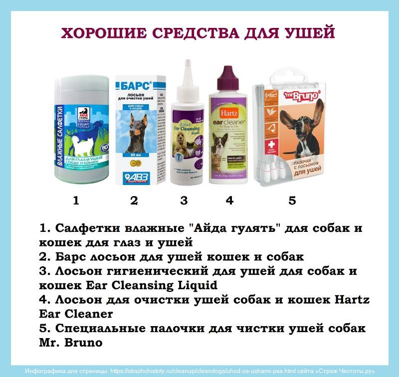 Как чистить уши собаке в домашних условиях
