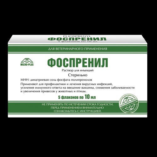 Одновременное применение иммуномодуляторов и антибиотиков