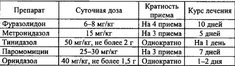 Лямблии - симптомы и пути заражения