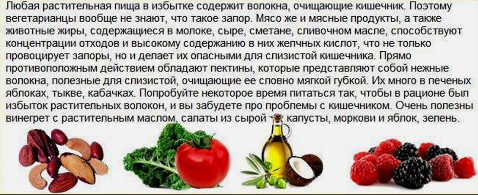 Почему свинка перестала есть или стала есть совсем мало и что делать? | ujumykyhe