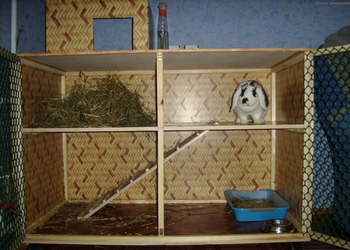 Как построить и обустроить домик для кролика своими руками в домашних условиях