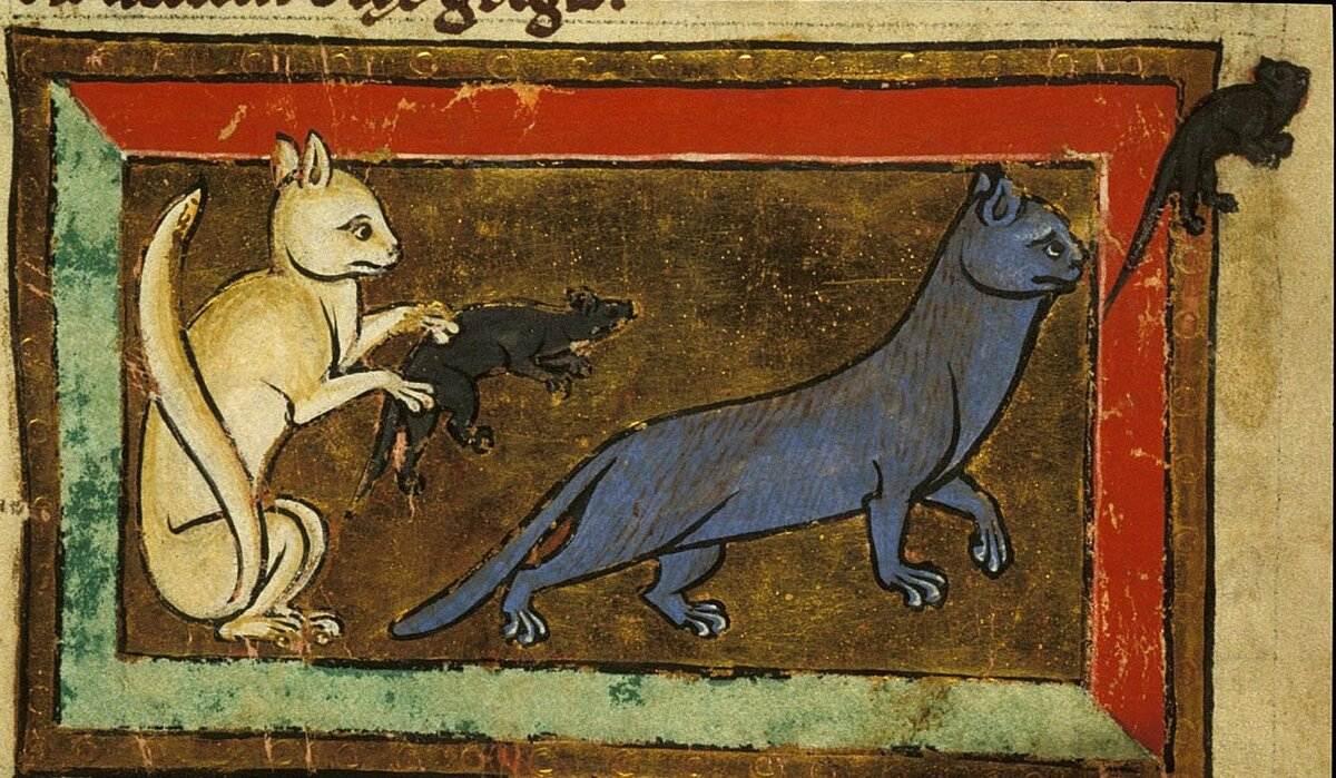 Кто и почему устроил кошачий геноцид в средневековой европе