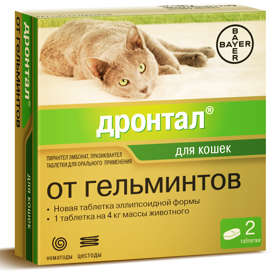Таблетки от глистов для кошек