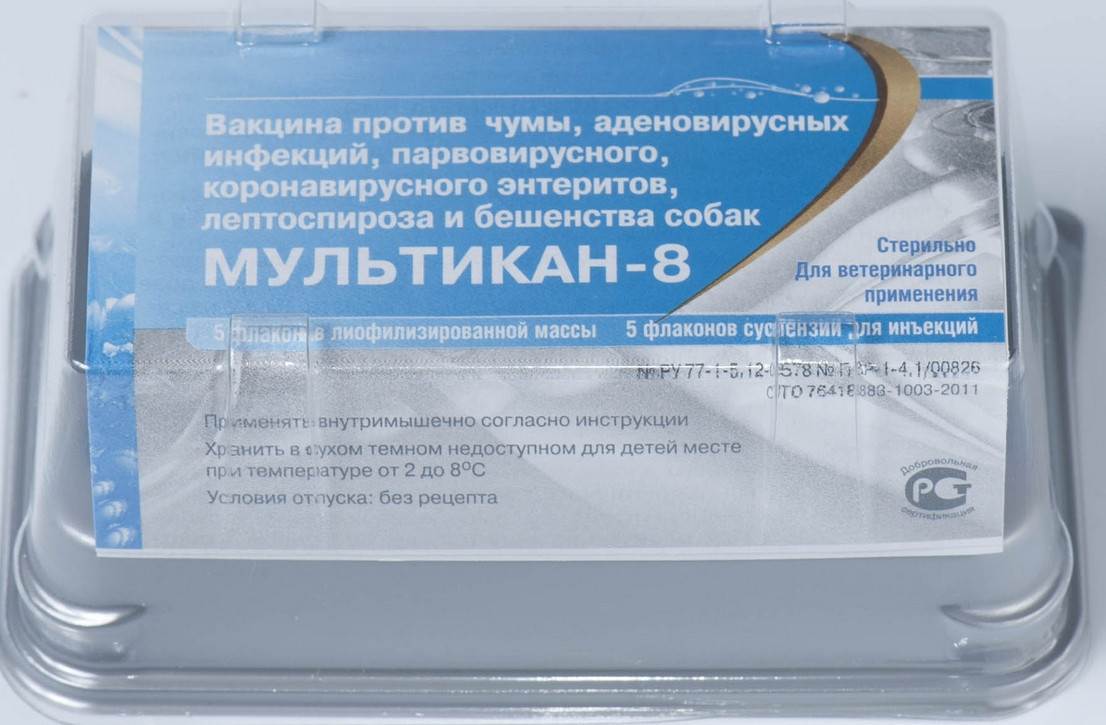 Вакцина «поливак-тм» для собак: описание, инструкция по применению