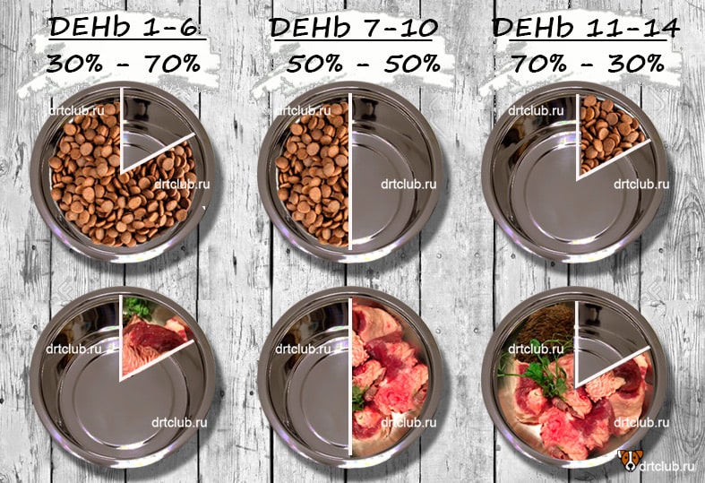 Перевод с сухого корма на натуральный схема собаки
