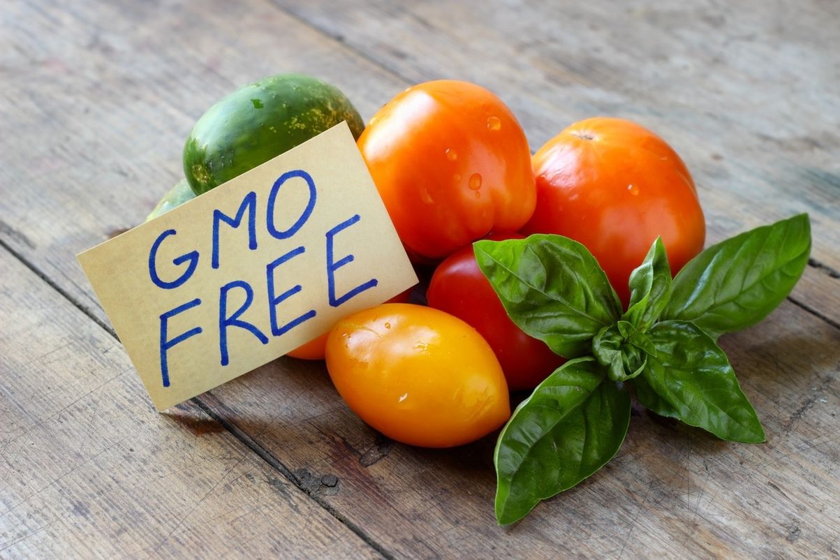 Гмо и органические продукты в питании домашних животных