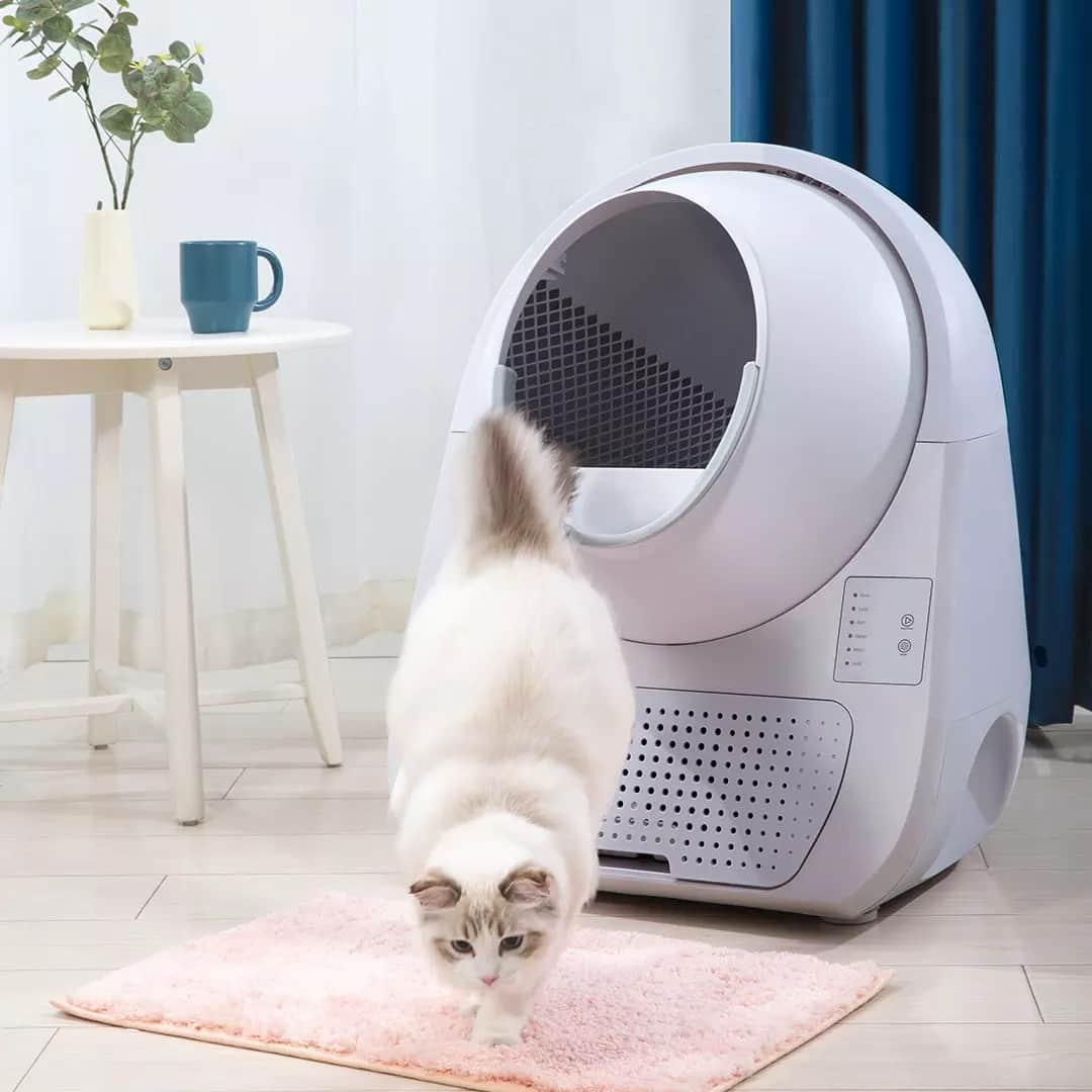 Лучшие самоочищающиеся кошачьи туалеты 2021: лучшие обзоры