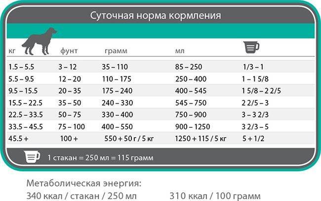 Сколько сухого корма нужно давать собаке в день?