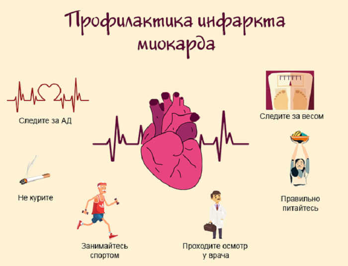 Инфаркт у кошек
