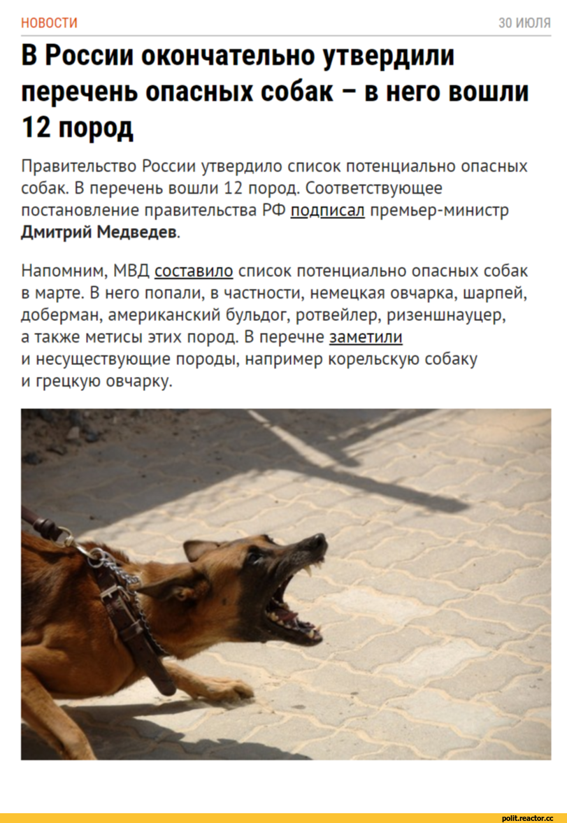 Потенциально опасные собаки в россии. Опасные породы собак список. Перечень опасных пород собак. Список особо опасных пород собак. Перечень потенциально опасных пород собак.