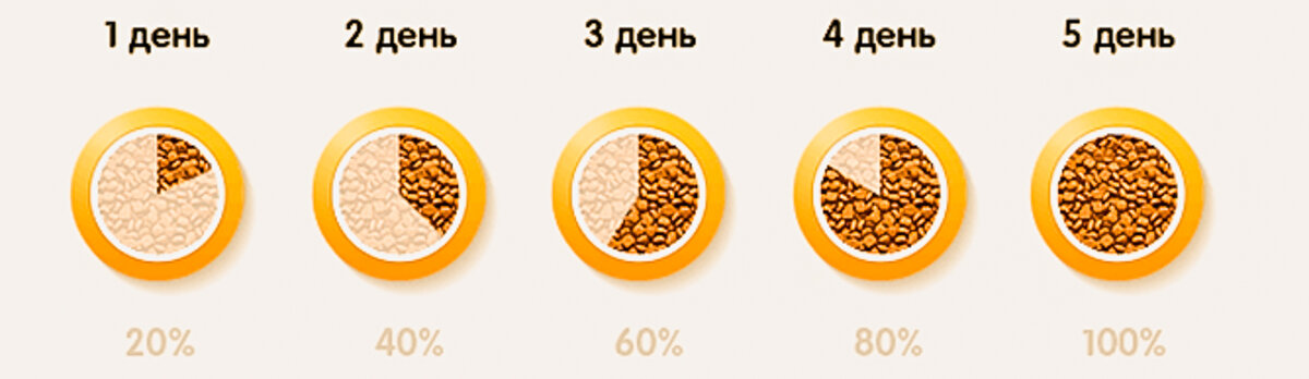 Схема перехода на новый корм для собак