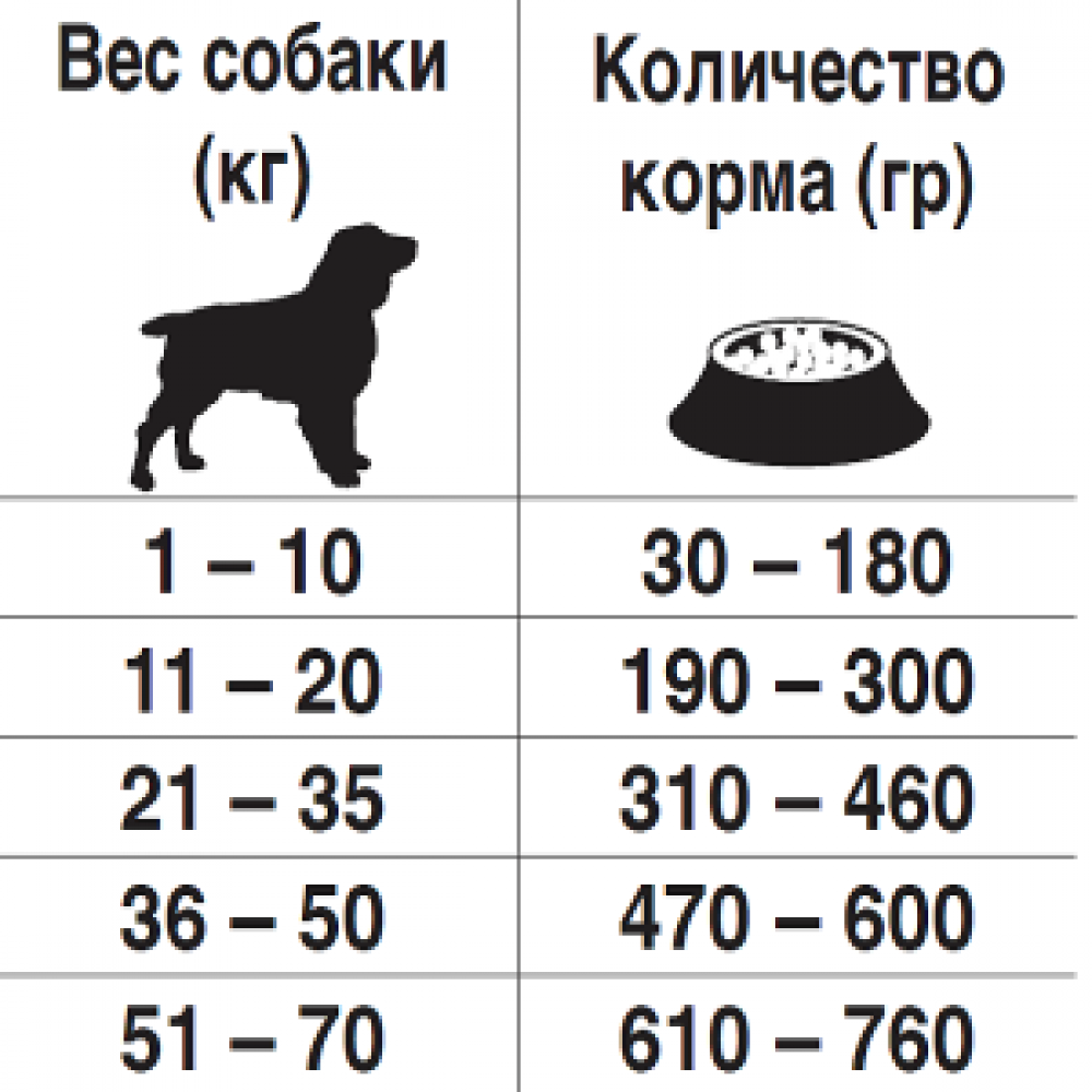Как рассчитать корм для собаки