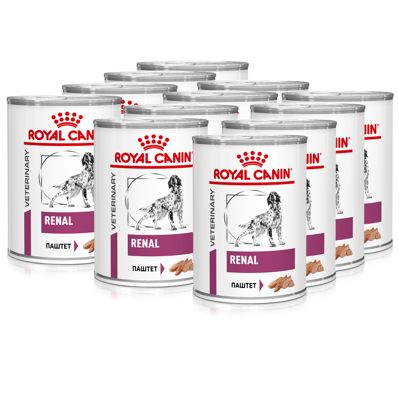 Royal canin adult dog maxi - рейтинг, обзор корма, сравнение и анализ royal canin adult dog maxi, состав и описание корма, плюсы и минусы royal canin adult dog maxi, отзывы о корме, характеристика и дозировка