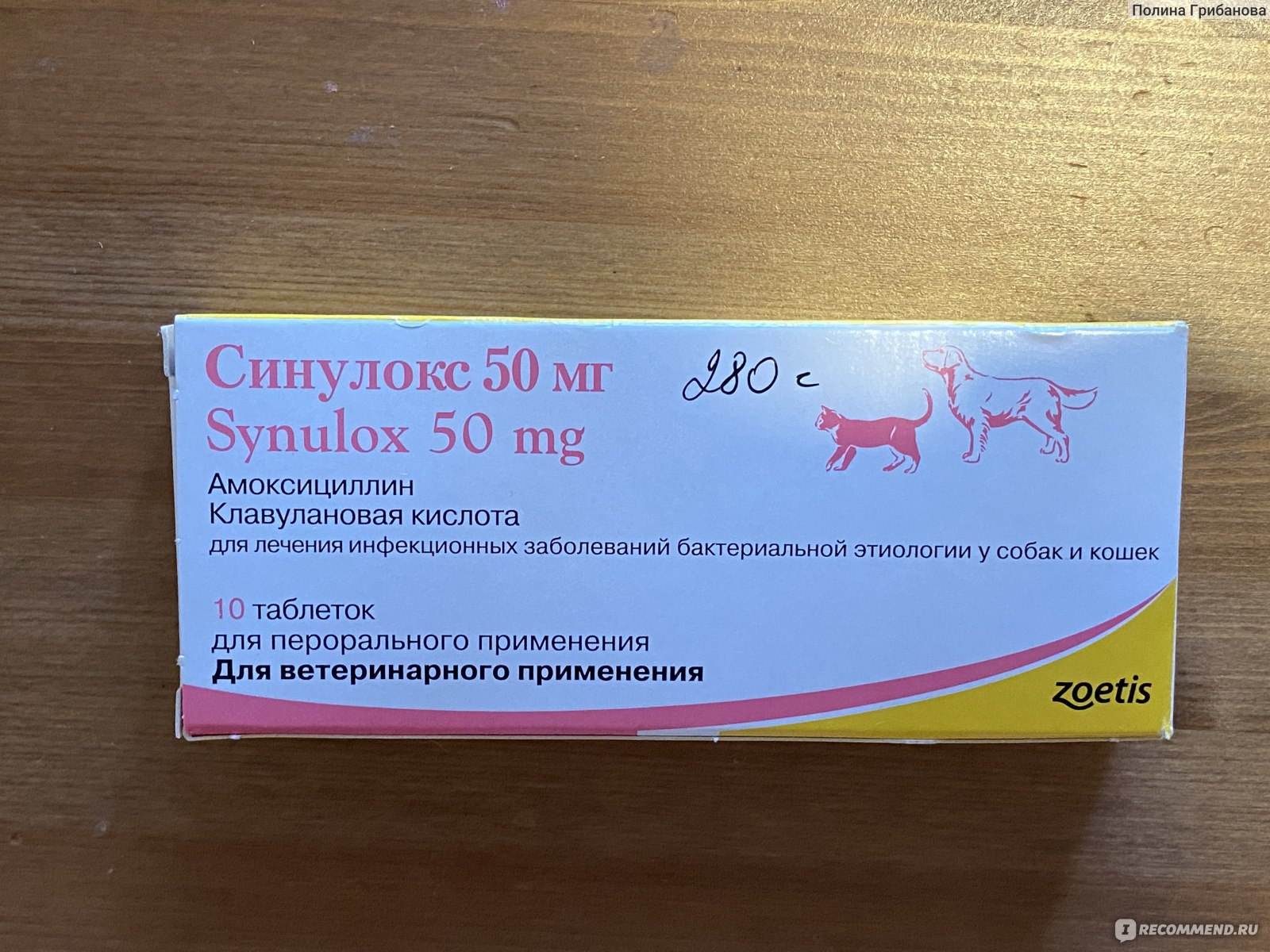 Синулокс: современный антибиотик для кошек- инструкция