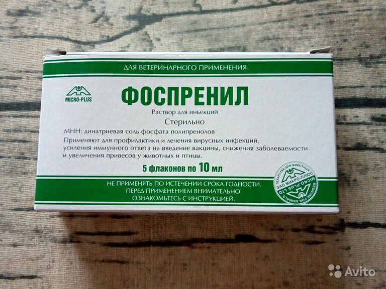 Краткая инструкция по применению препарата фоспренил