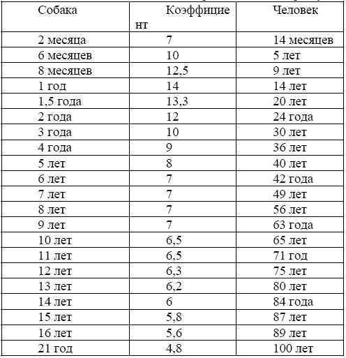 Продолжительность жизни морских свинок