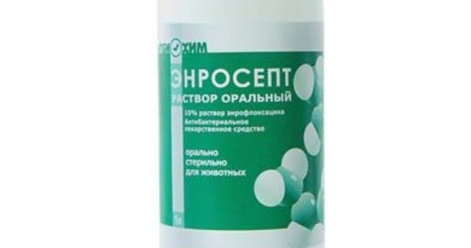Цитросепт. инструкция по применению. справочник лекарств, медикаментов, бад