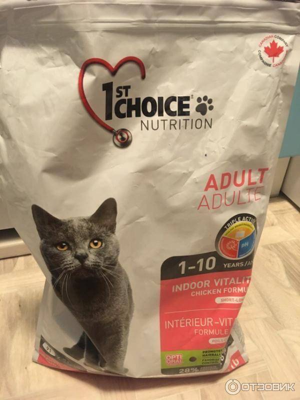 Корм 1st choice для кошек. Корм 1st choice Vitality. Корм для кошек 1st choice. 1st choice для кошек. 1st choice для кошек отзывы.