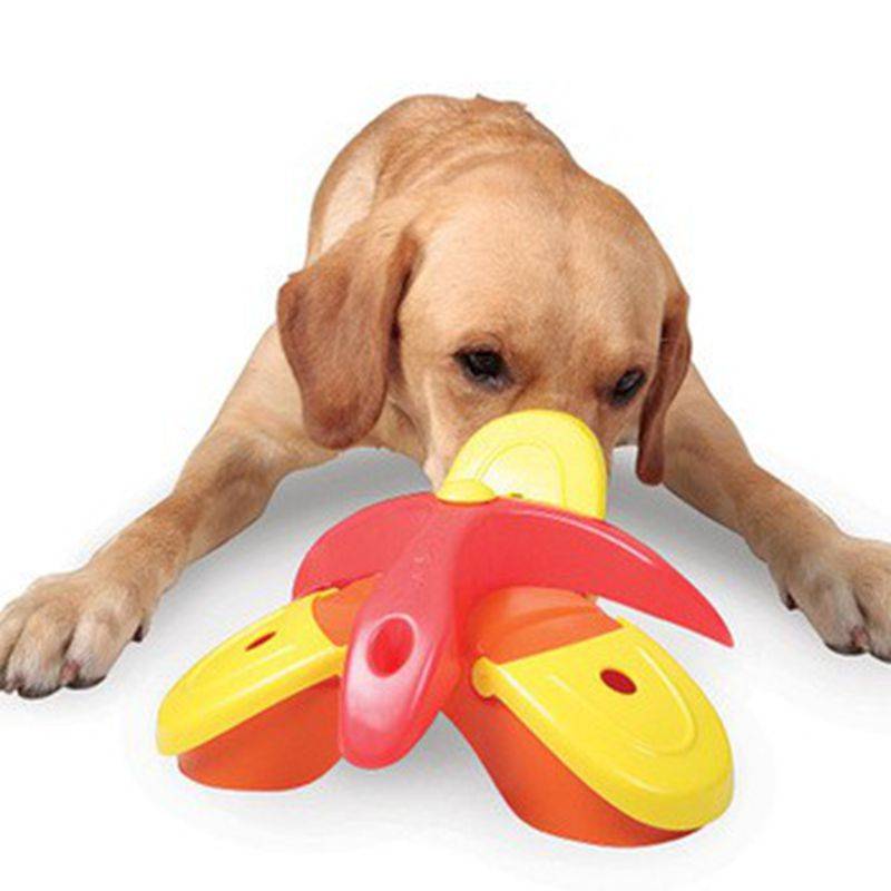Игрушки для собак, как инструмент развития