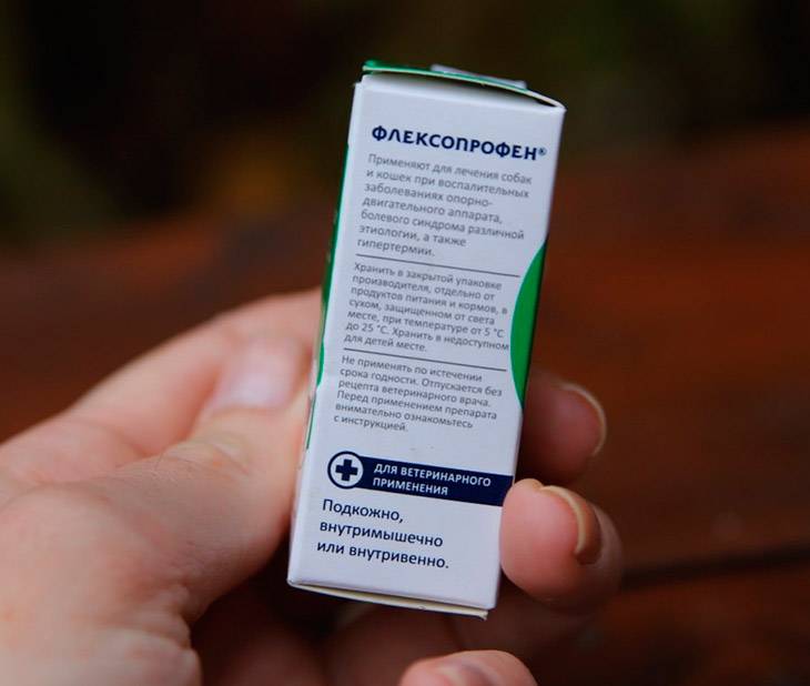 Флексопрофен (flexoprofen): как правильно применять у кошек