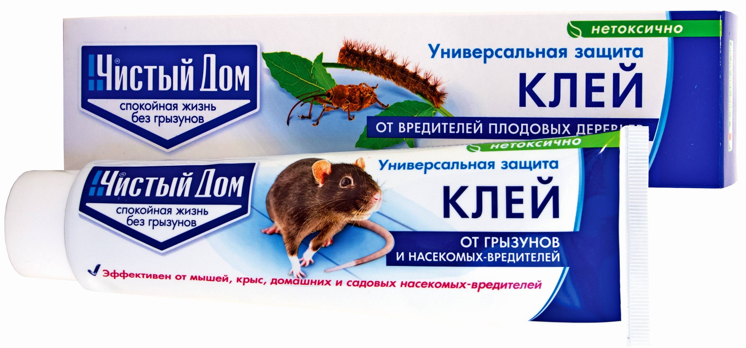 Клей для ловли мышей и крыс, какую приманку использовать и как ловить?