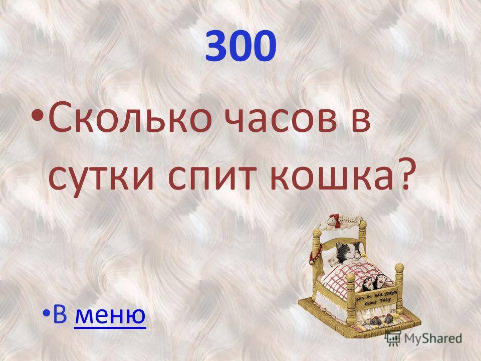 Сколько часов в сутки спит кошка? - gafki.ru