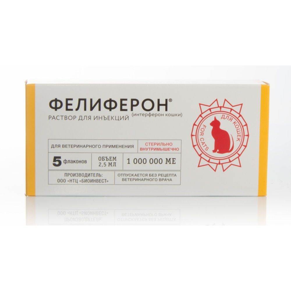 Фелиферон для кошек — инструкция по применению препарата