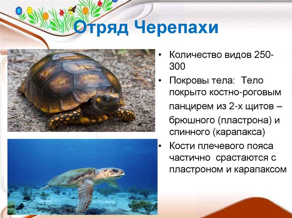 Стадии хронической почечной недостаточности: полиурическая, терминальная | университетская клиника