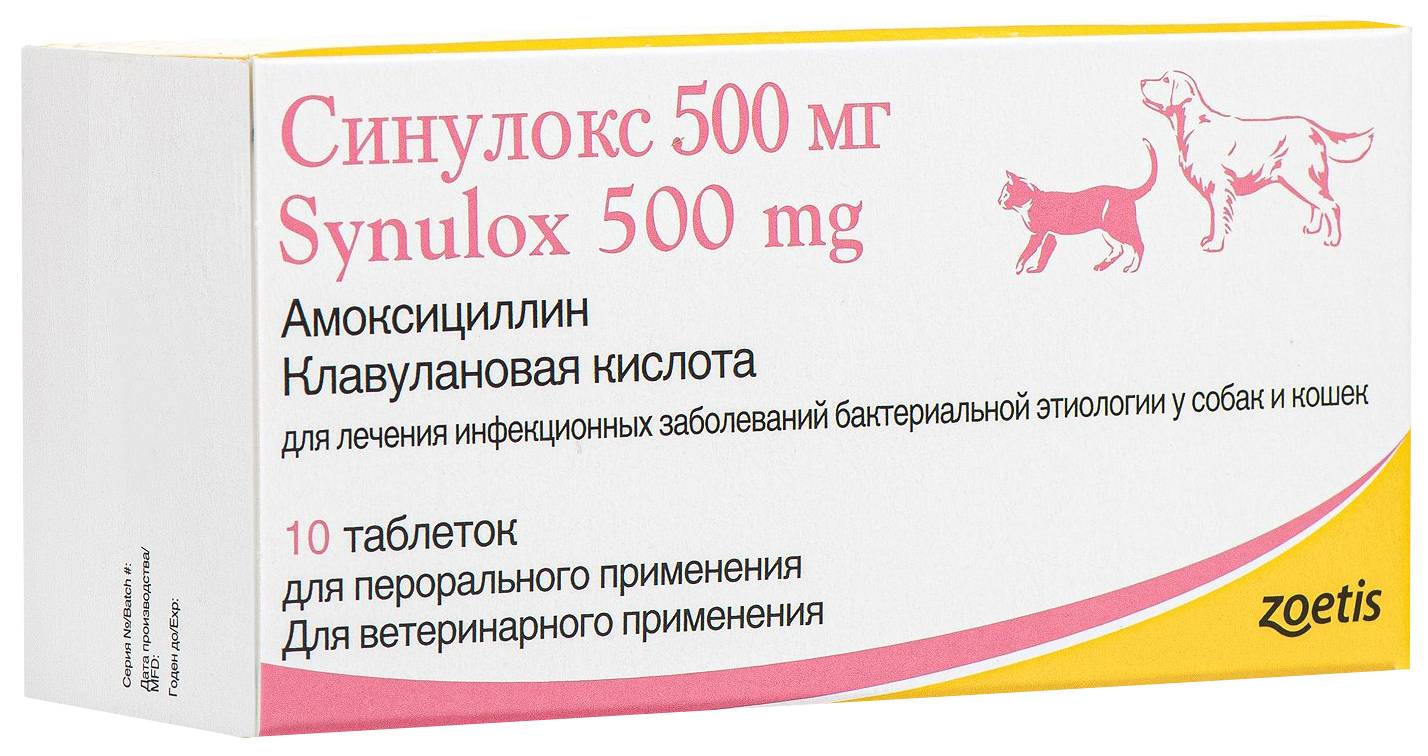 Синулокс для кошек: инструкция по применению, дозировка, особенности лечения