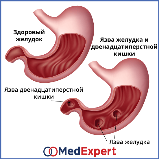 Заболевания жкт у собак: симптомы и лечениеветлечебница рос-вет