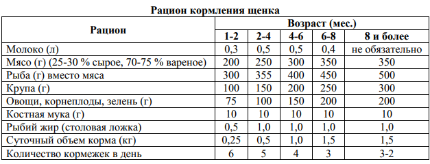 Рацион питания щенка немецкой овчарки в 1 мес. Рацион кормления щенка немецкой овчарки 1 месяц. Рацион питания щенка немецкой овчарки 3 месяца. Рацион питания щенка спаниеля 1 месяц. Питание щенка 4 месяца