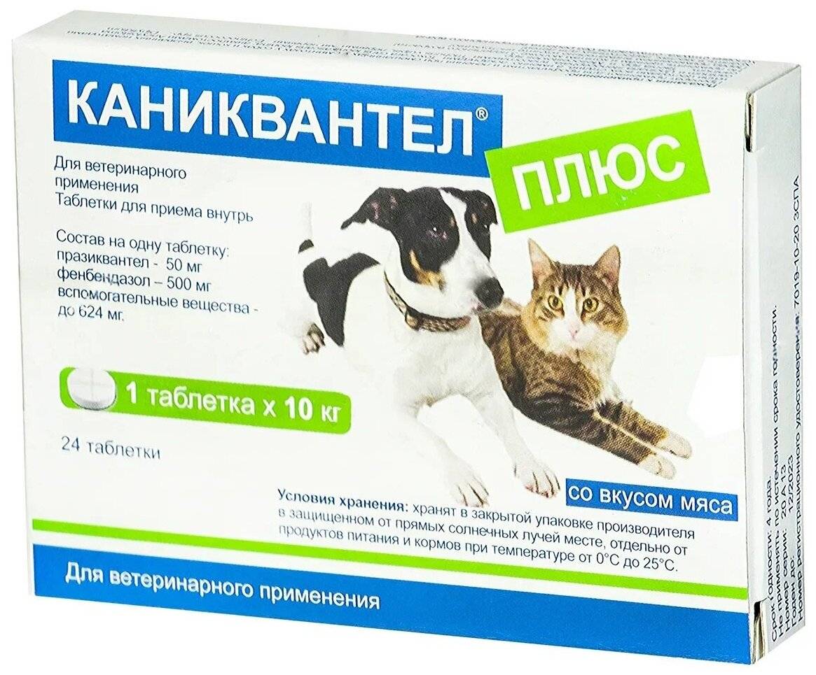 Каниквантел для кошек и котов
