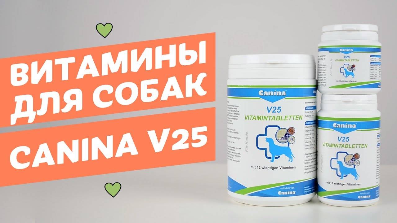 Витамины канина для собак