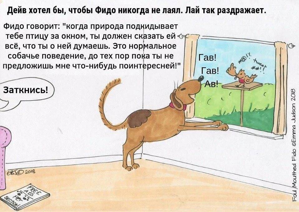 Как быстро отучить собаку лаять? :: инфониак