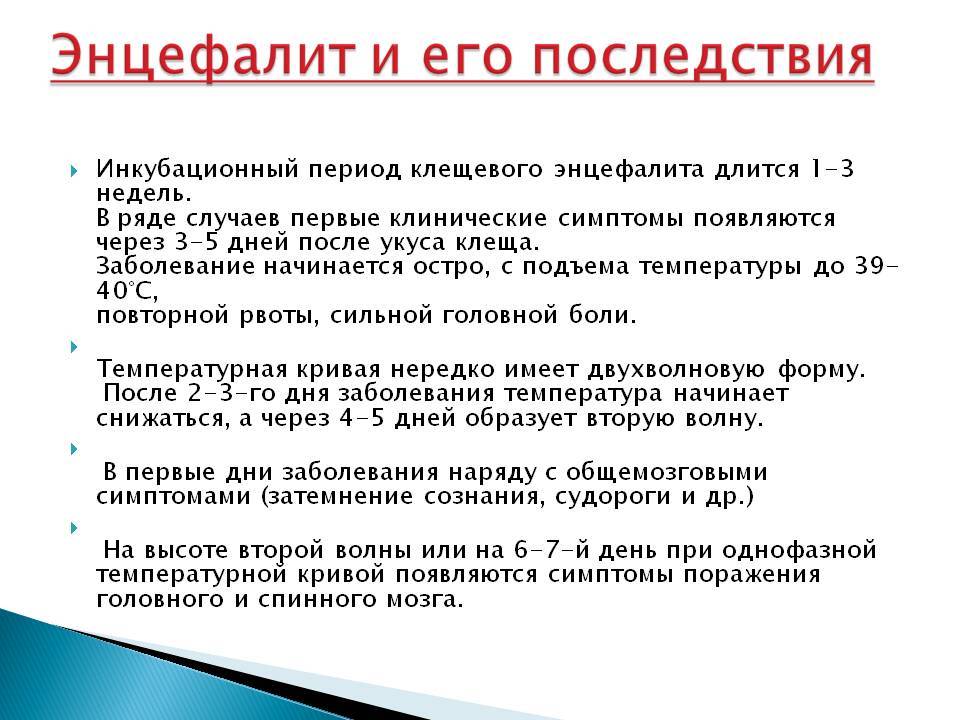 Энцефалит у собак