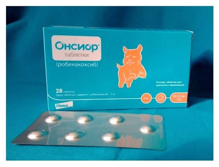 Онсиор