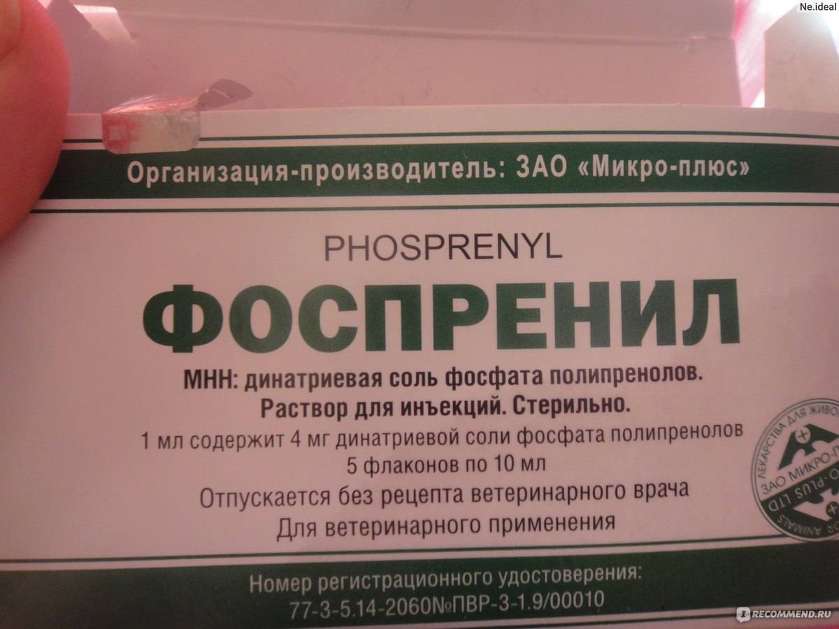 Фоспренил в лечении вирусных заболеваний собак
