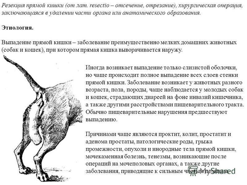 Опущение стенок влагалища и шейки матки. почему происходит, и как лечить — центр эстетической медицины