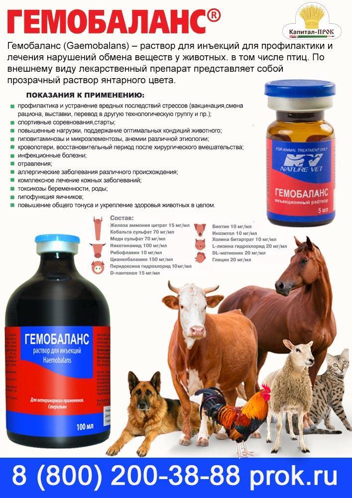 Гемобаланс для кошек