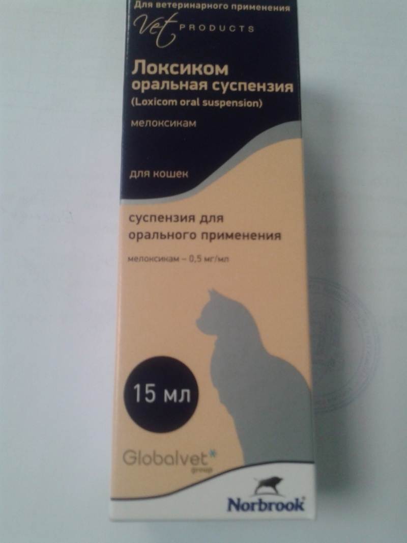 Синулокс для кошек и котов: инструкция по применению