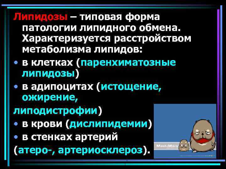 Липидоз печени у кошек — диагностика болезни, симптомы и лечение