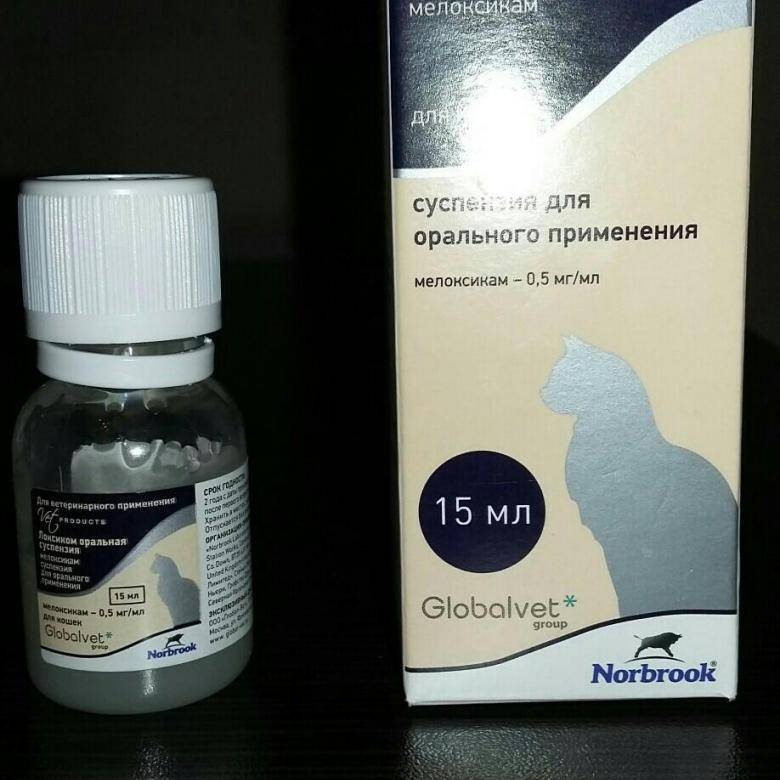 Мелоксикам для кошек инструкция: по применению в таблетках