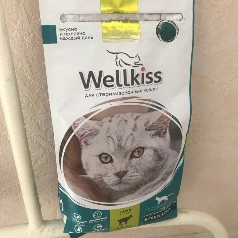 Wellkiss (веллкисс): обзор корма для кошек, состав, отзывы